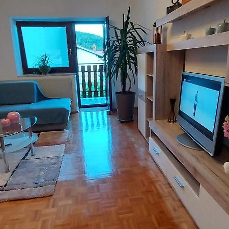 Apartma Pr' Ivani Miskorinovi Breginj المظهر الخارجي الصورة