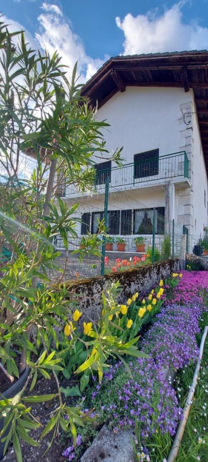 Apartma Pr' Ivani Miskorinovi Breginj المظهر الخارجي الصورة