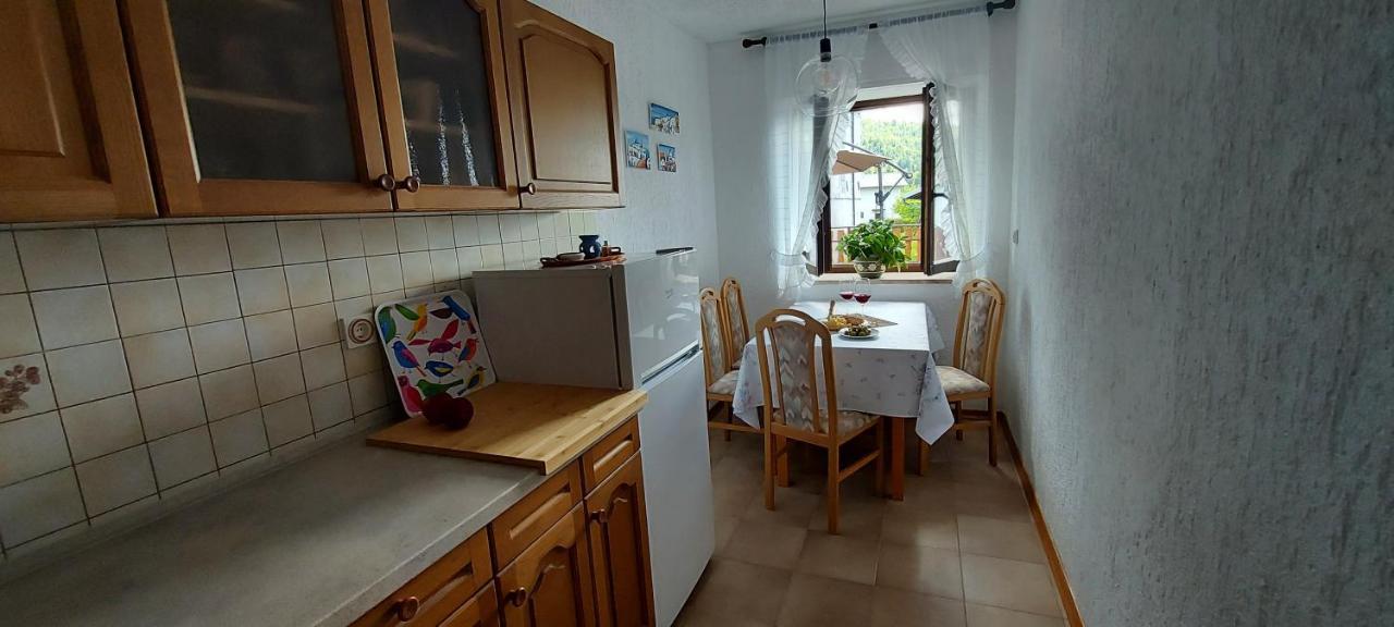 Apartma Pr' Ivani Miskorinovi Breginj المظهر الخارجي الصورة
