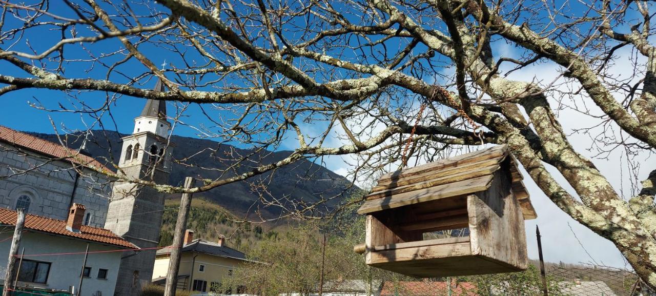 Apartma Pr' Ivani Miskorinovi Breginj المظهر الخارجي الصورة