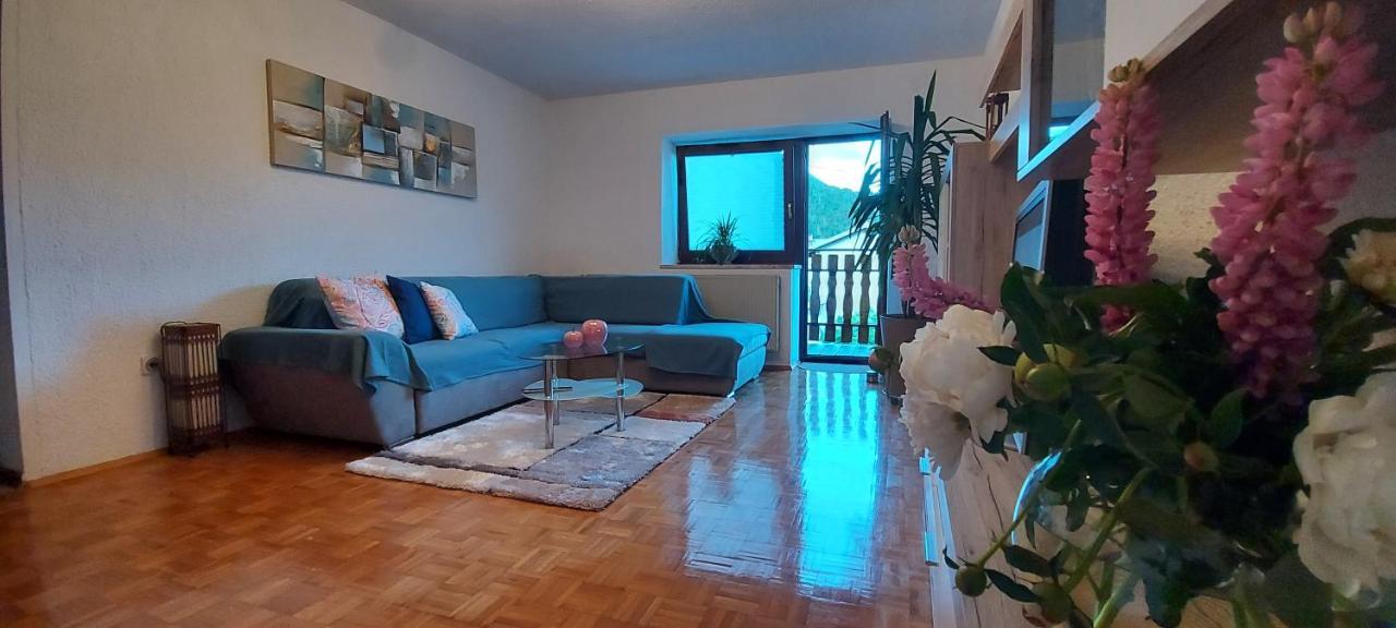 Apartma Pr' Ivani Miskorinovi Breginj المظهر الخارجي الصورة
